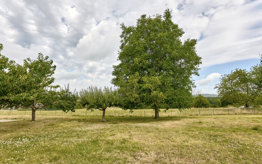 Jardin d'une maison familiale avec piscine à Besançon à vendre - Arrière-Cour, agence immobilière spécialisée dans le Doubs