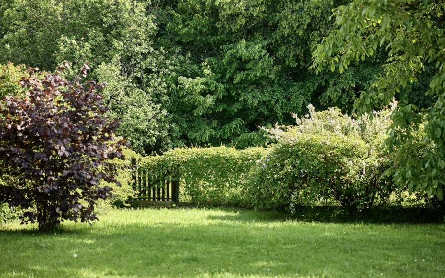 Jardin de la maison contemporaine aux portes de Besançon à vendre - Arrière-Cour, agence immobilière spécialisée dans le Doubs
