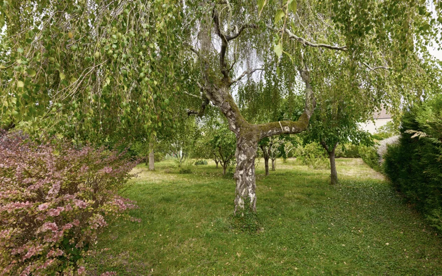 Nature de la maison de caractère et ses dépendances aux portes de Besançon à vendre - Arrière-Cour, agence immobilière spécialisée dans le Doubs