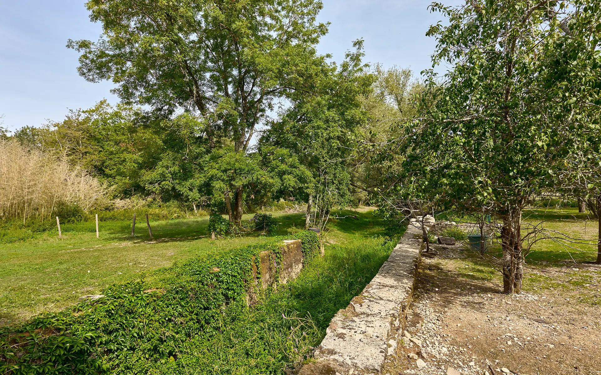 Nature du domaine de caractère en Haute-Saône à vendre - Arrière-Cour, agence immobilière spécialisée en Haute-Saône