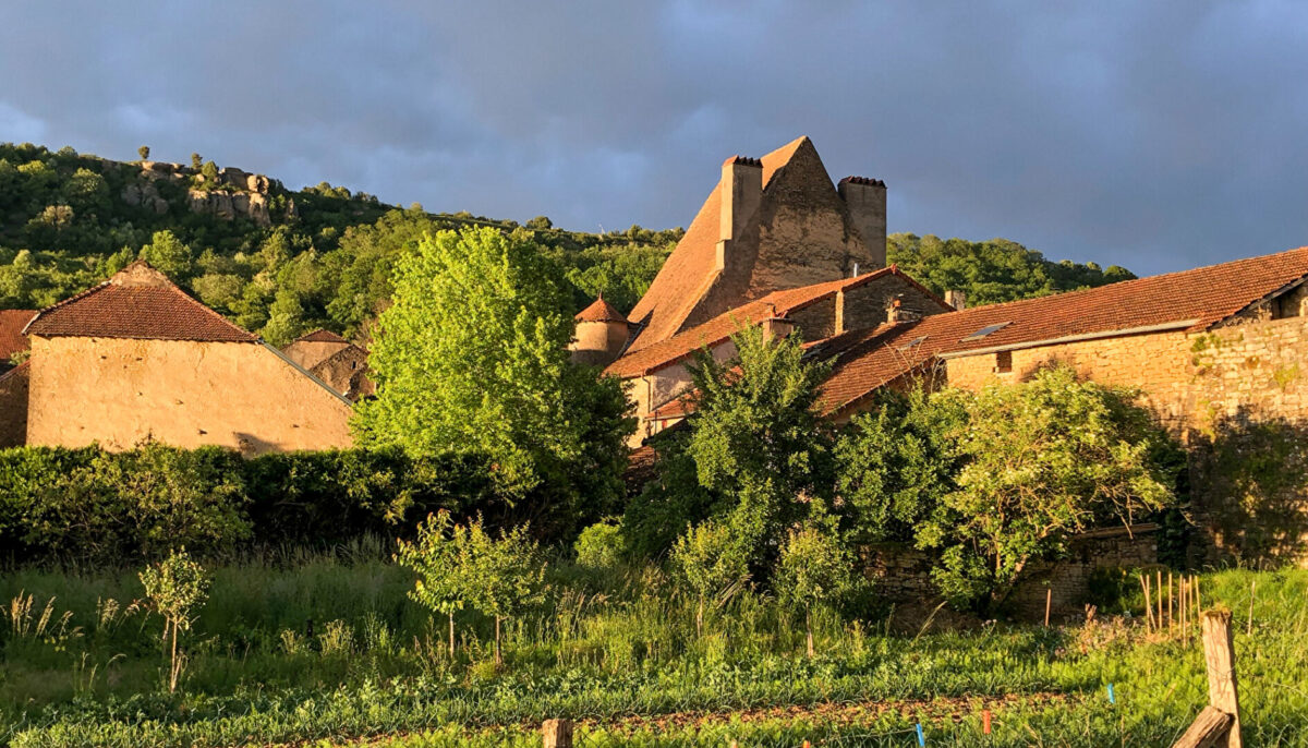 Propriété de charme à vendre - CHARIEZ - Agence immobilière Arrière-Cour - Spécialiste en immobilier de prestige et de caractère en Haute-Saône