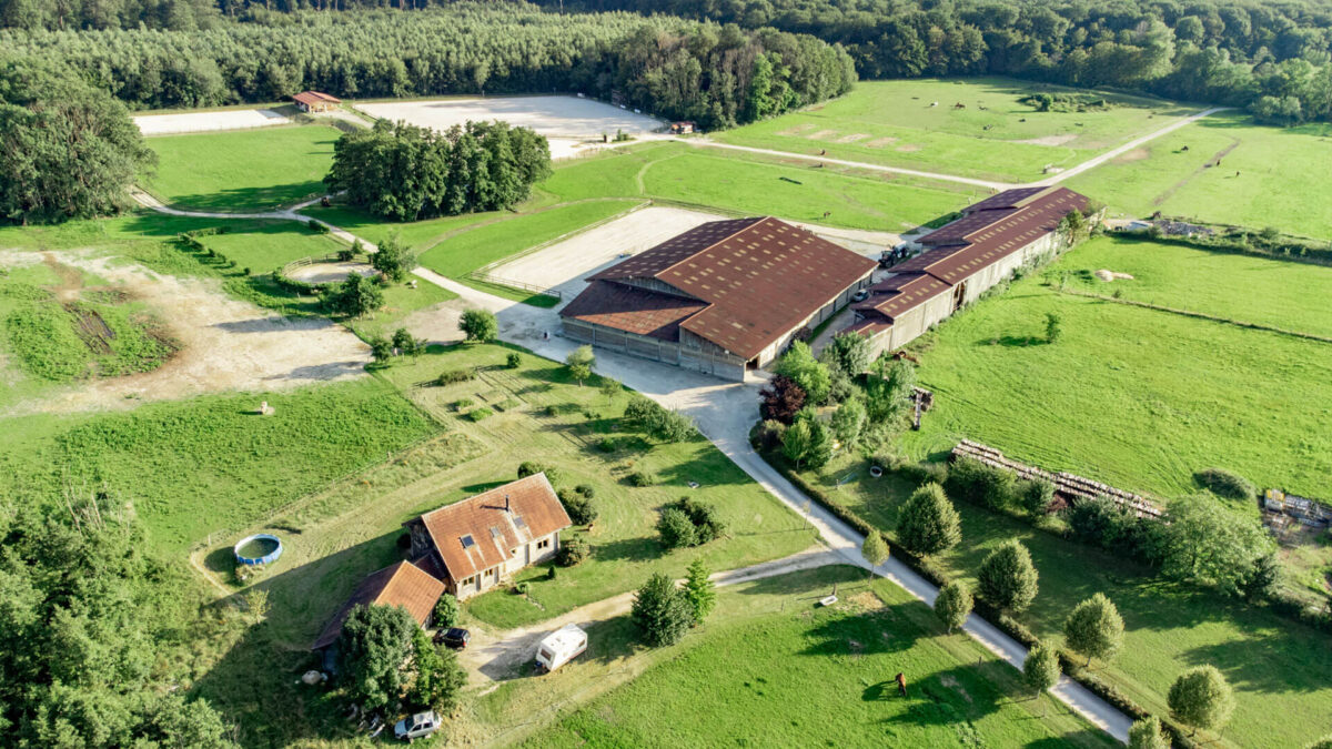 Vente Propriété équestre Jura - Arrière-Cour agence immobilière de prestige et de caractère dans le Jura