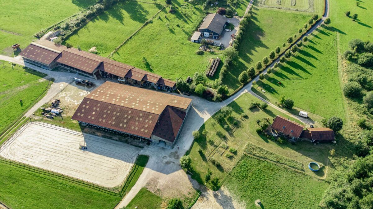 Vente Propriété équestre Jura - Arrière-Cour agence immobilière de prestige et de caractère dans le Jura