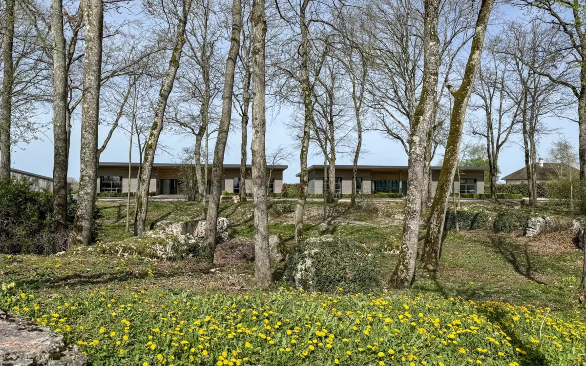Arbres du Domaine de La Garenne, gites en Côte-d'Or – Arrière-Cour immobilier, agence immobilière spécialisée en Côte-d'Or