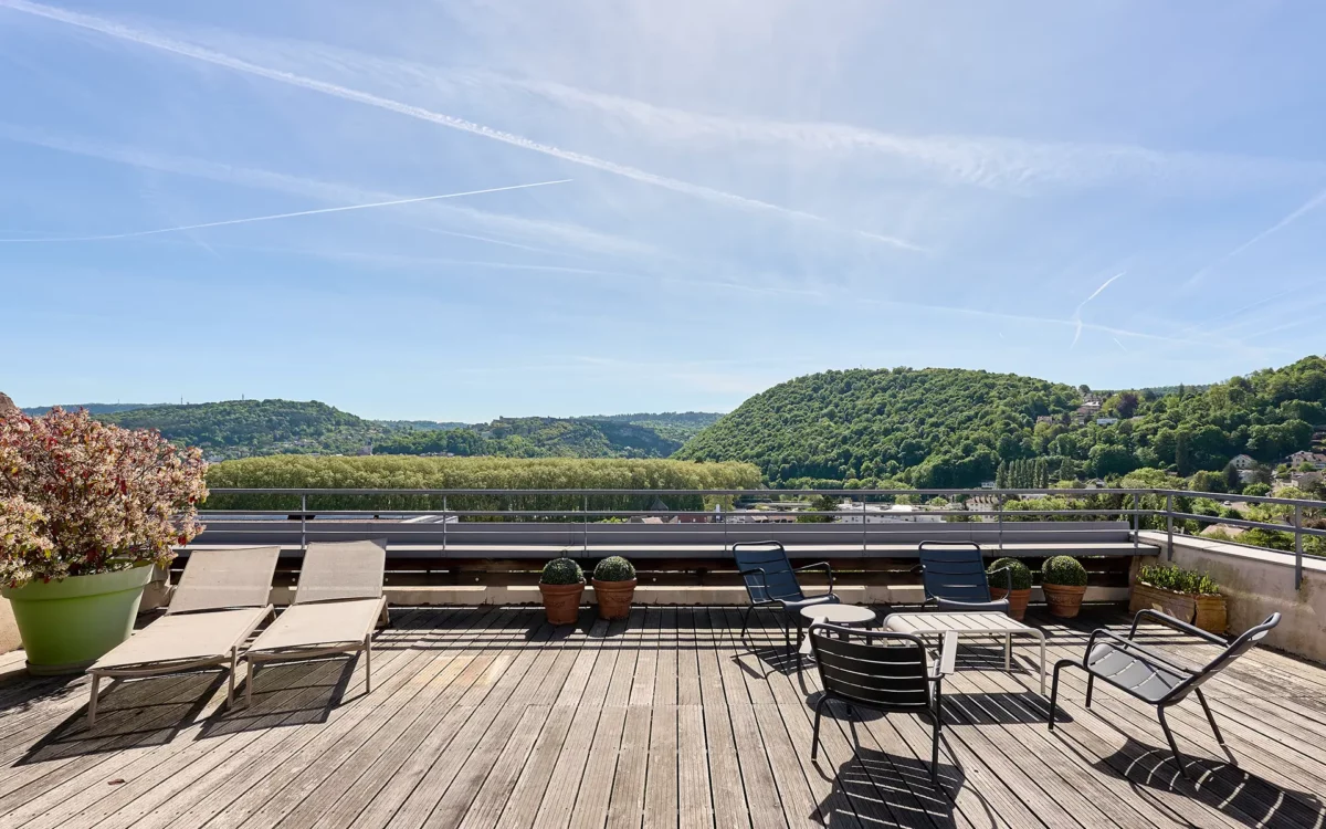Terrasse et verdure d'un rooftop avec terrasse à Besançon à vendre - Arrière-Cour, agence immobilière spécialisée dans le Doubs