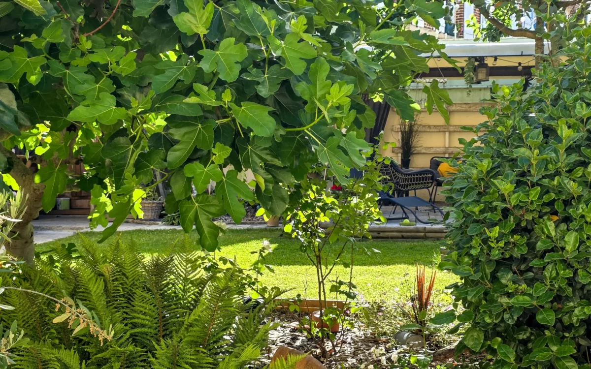 Verdure de la maison de village avec grange rénovée dans l'Oise à vendre - Arrière-Cour, agence immobilière spécialisée dans l'Oise