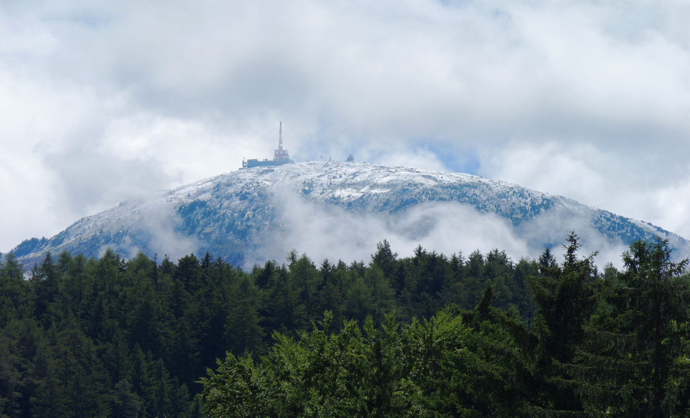 Sommet enneigé dominant les forêts du massif des Vosges