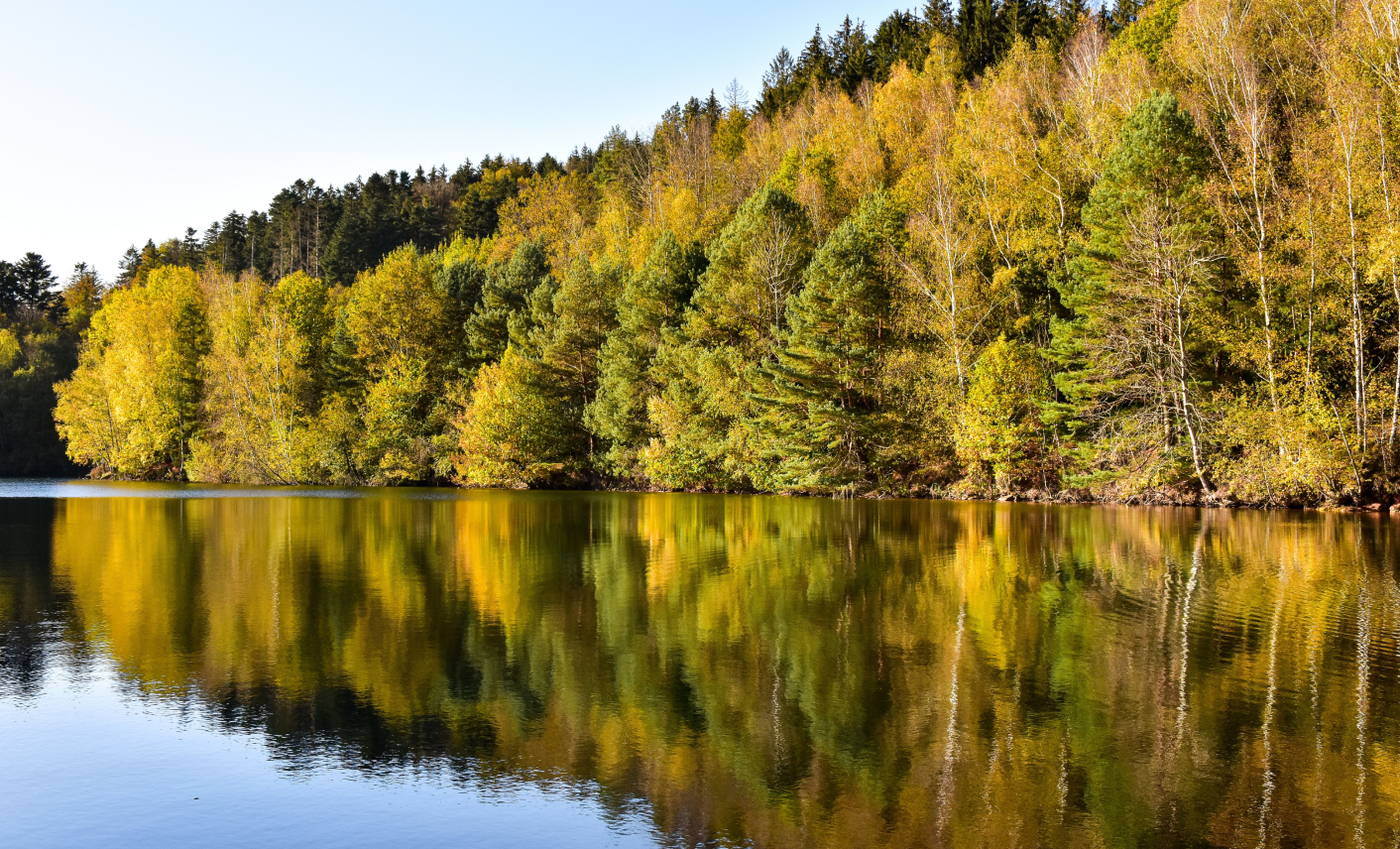 Lac bordé de forêt aux couleurs d’automne dans le Grand Est