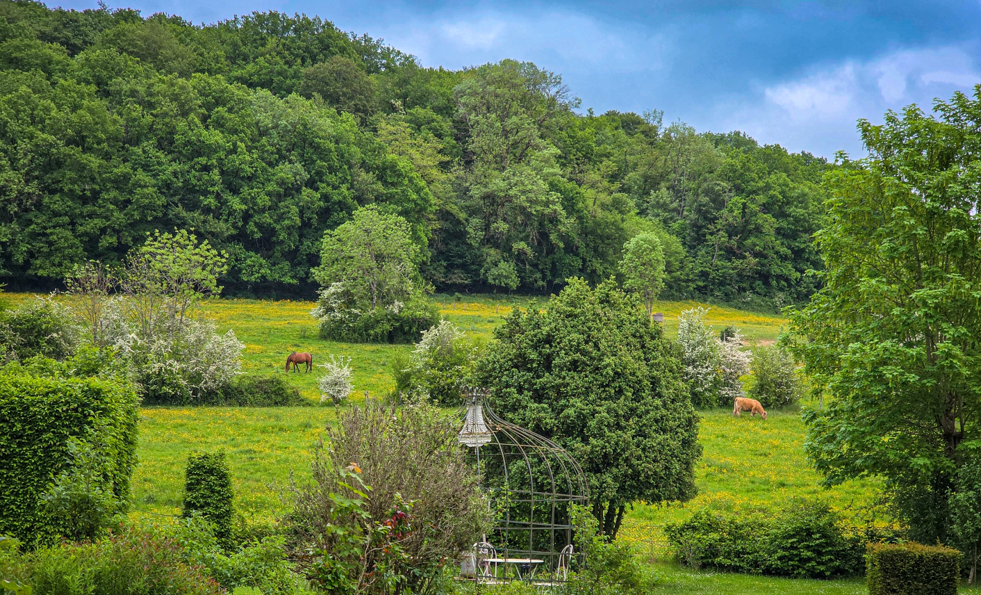 Prairie avec chevaux bordée de forêt en Haute-Marne