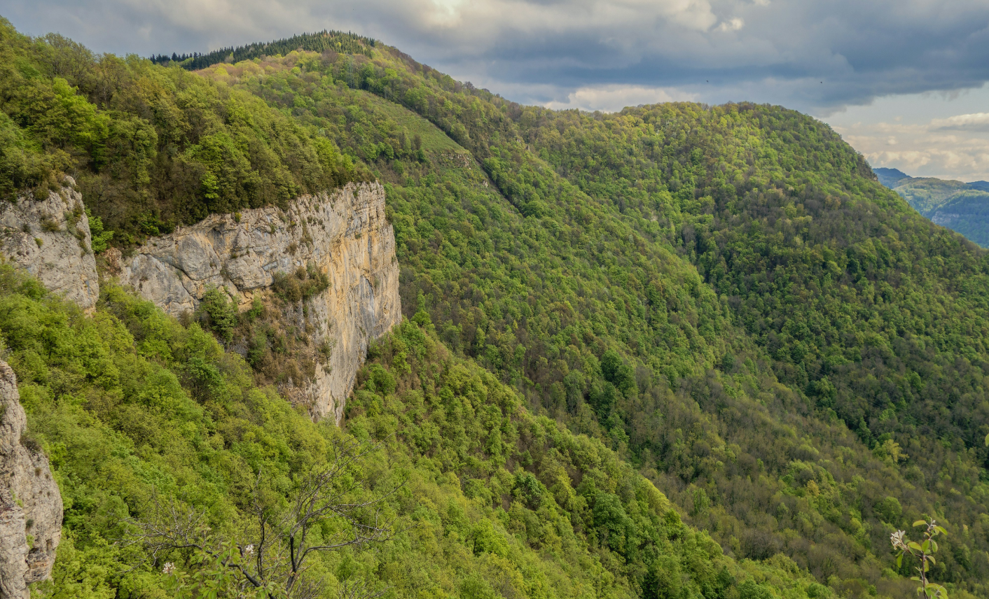 Reliefs boisés et falaises calcaires dans l’Ain