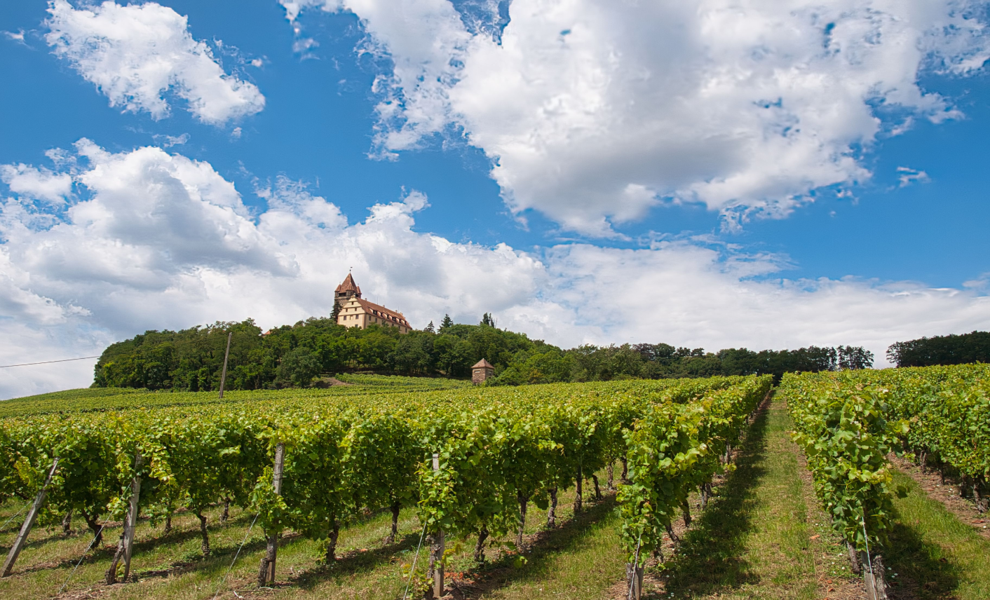 Château dominant un vignoble dans les paysages de Bourgogne