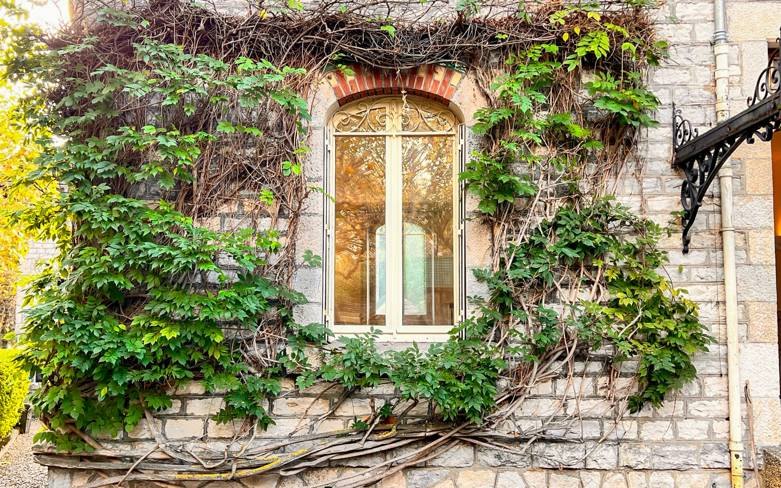 Fenêtre ancienne entourée de végétation sur une façade en pierre à Besançon