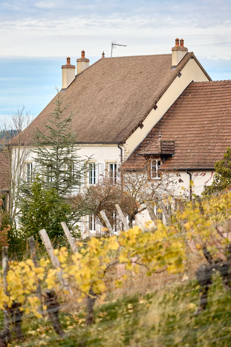 Façade et vignes de la maison vigneronne proche de Château-Chalon à vendre - Arrière-Cour, agence immobilière spécialisée dans le Jura